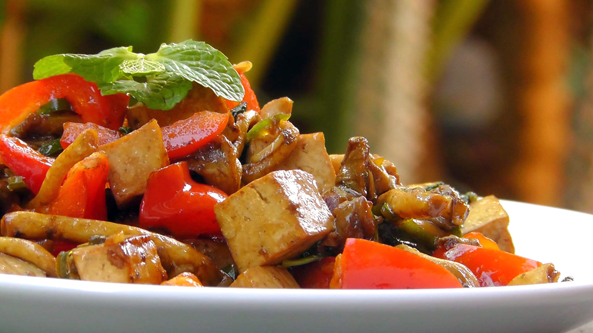 vegan-vegetarian-thai-recipe-tofu-mushroom-mint